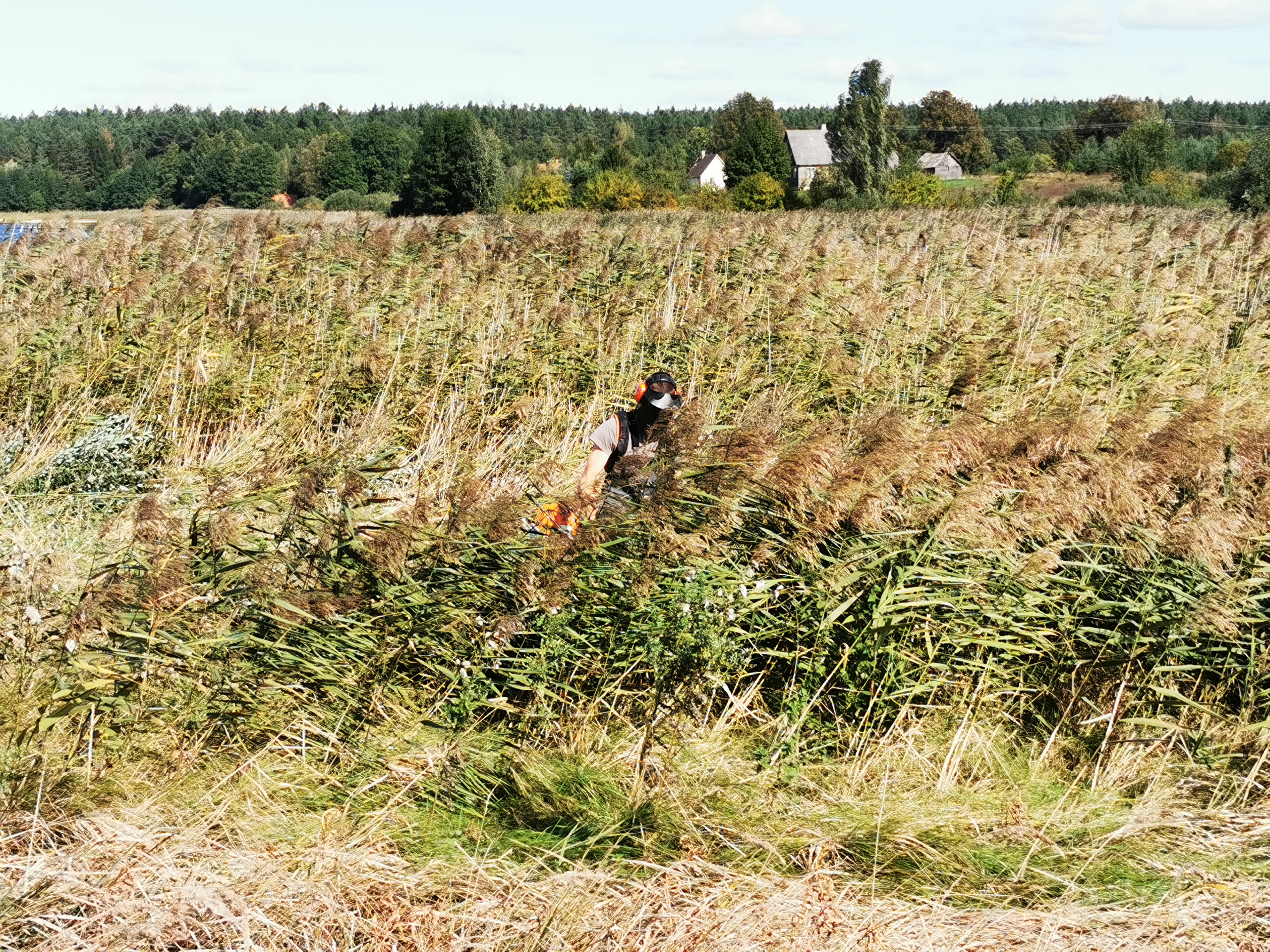 IMG_20200918_130917 (1)